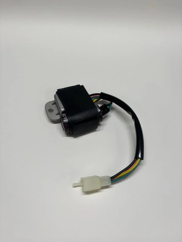 Rectifier/Capacitor Combo