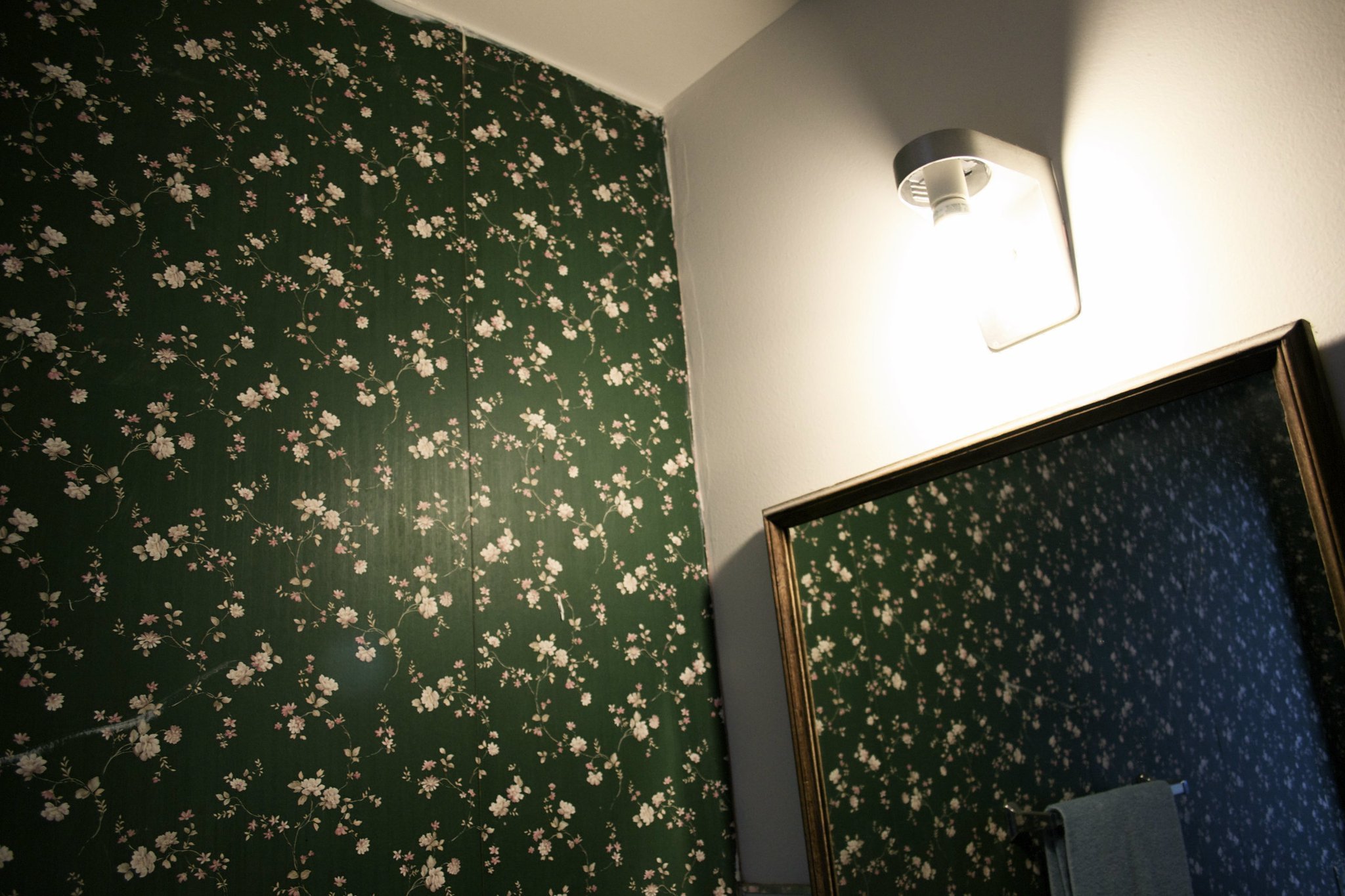 Bathroom Wallpaper2.jpg