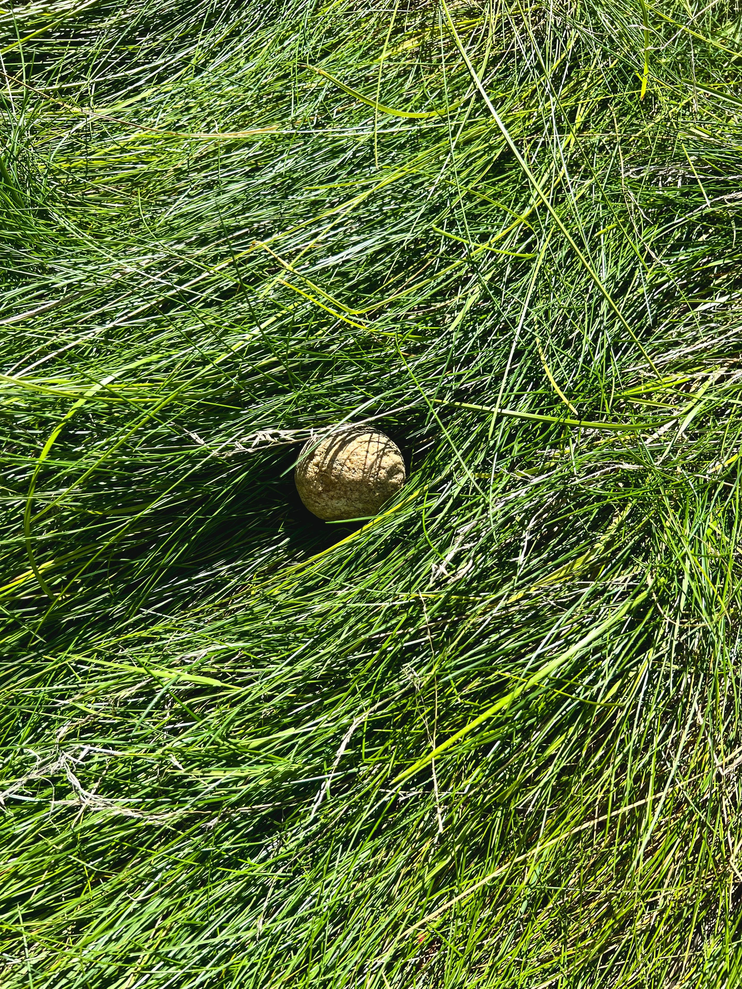 Elemental Forces.JPEG