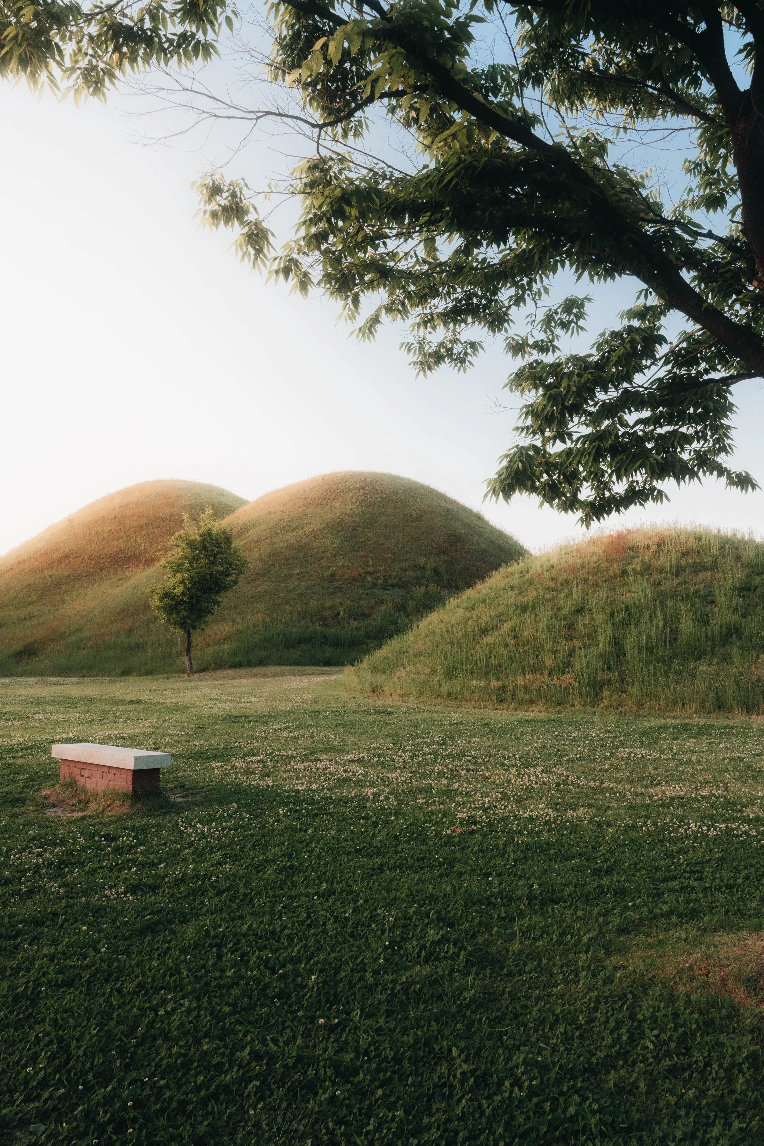 A grassy field with small white flowers, a small brick and concrete bench, two large grassy hills in the background, and a tree with green leaves in the foreground, under a clear sky.
