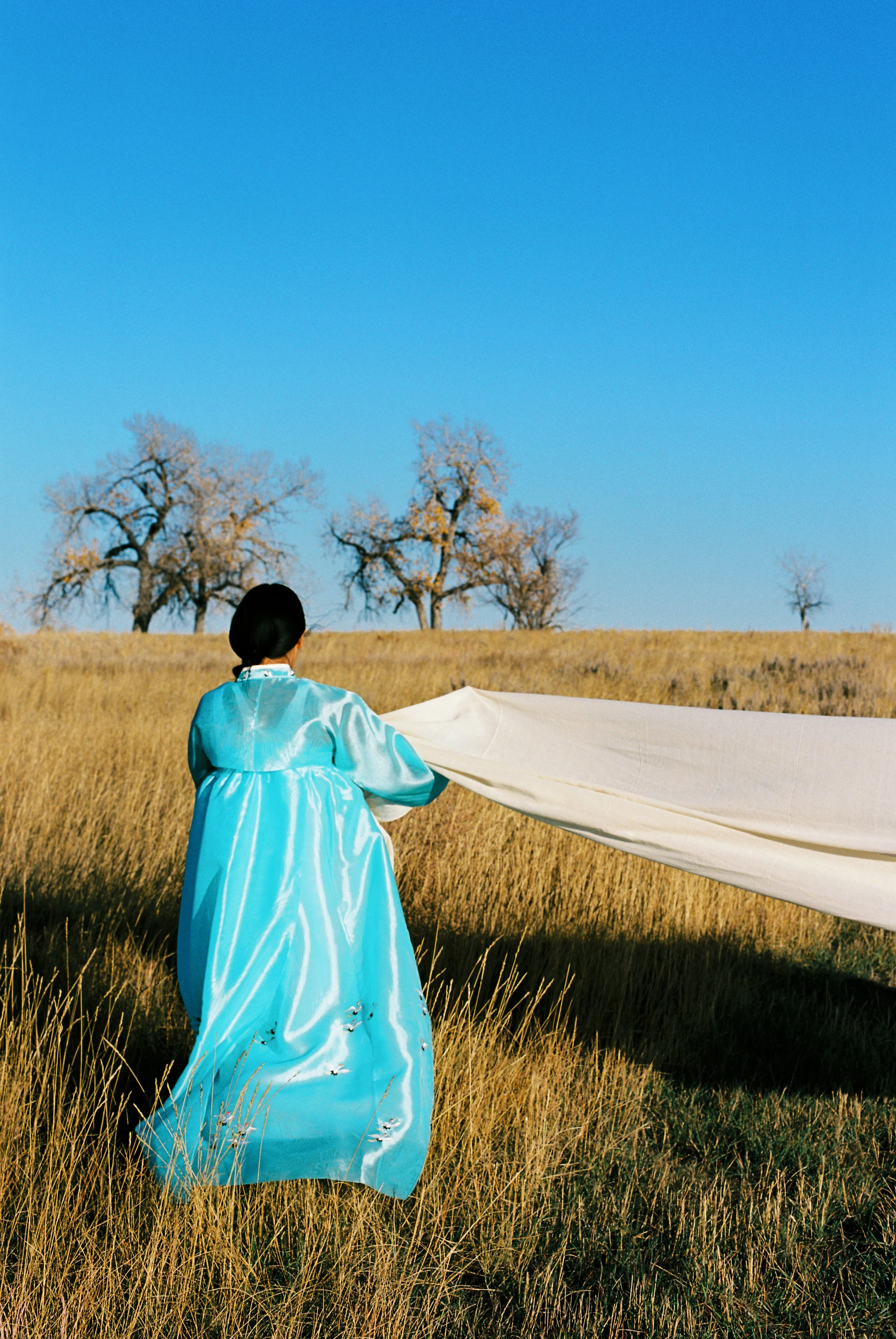 Hannah in a bright blue traditional or historical dress with floral embroidery, standing in a golden field holding a white fabric, with leafless trees against a clear blue sky in the background.