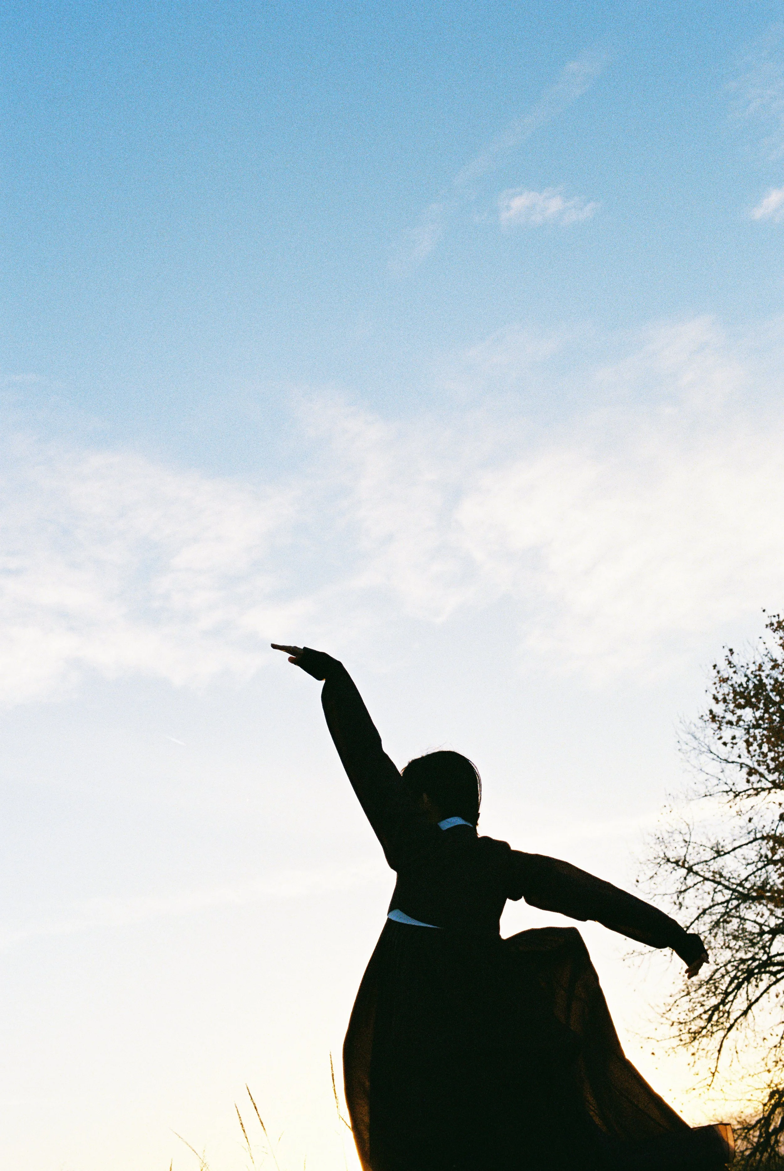 Silhouette of a person raising one arm, with trees and a partly cloudy sky in the background, during sunset.