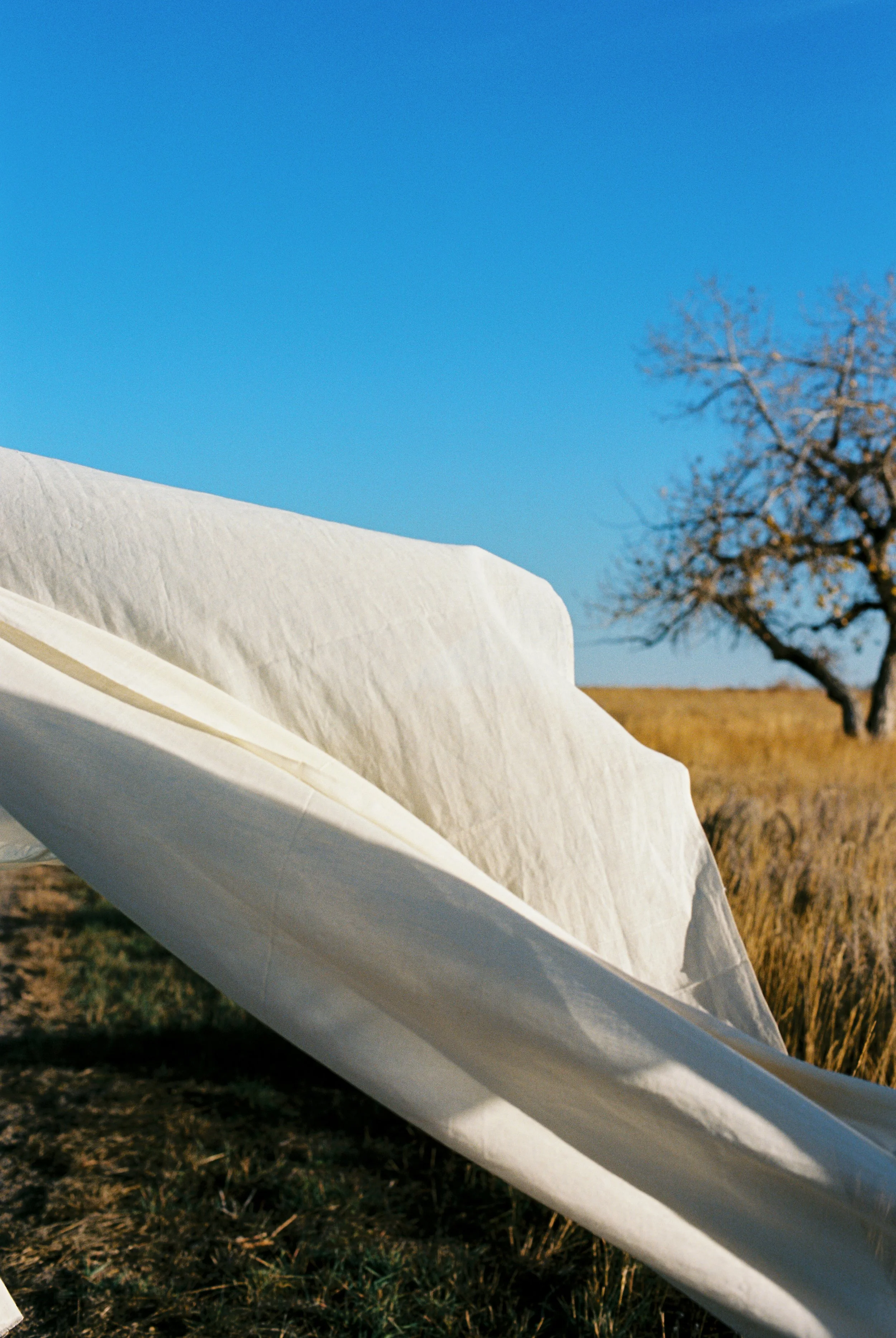 Close-up view of a white paper boat placed on dry grass with a blue sky and a leafless tree in the background.