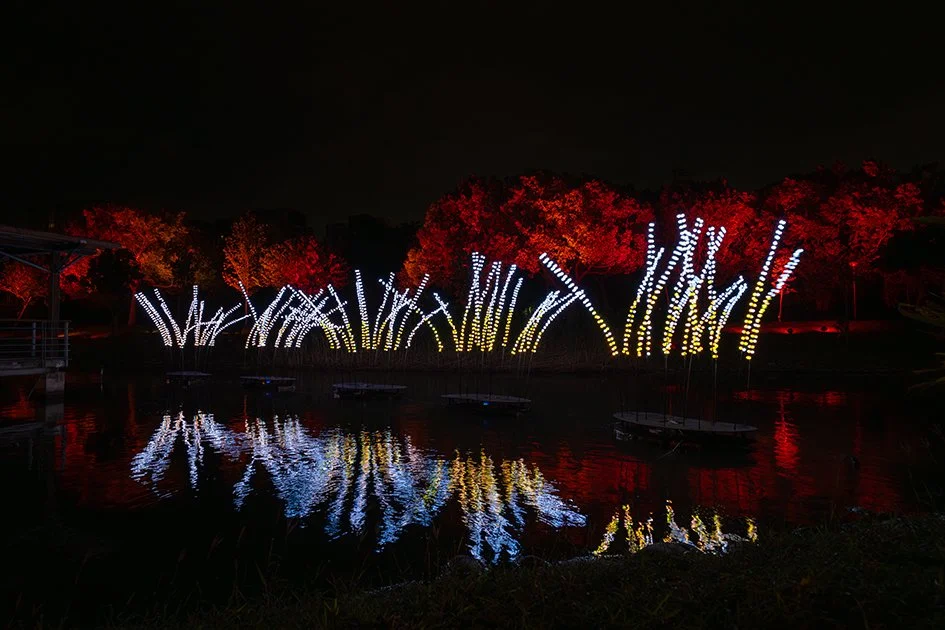 沃手工作 winnowork-光穗14(小).jpg