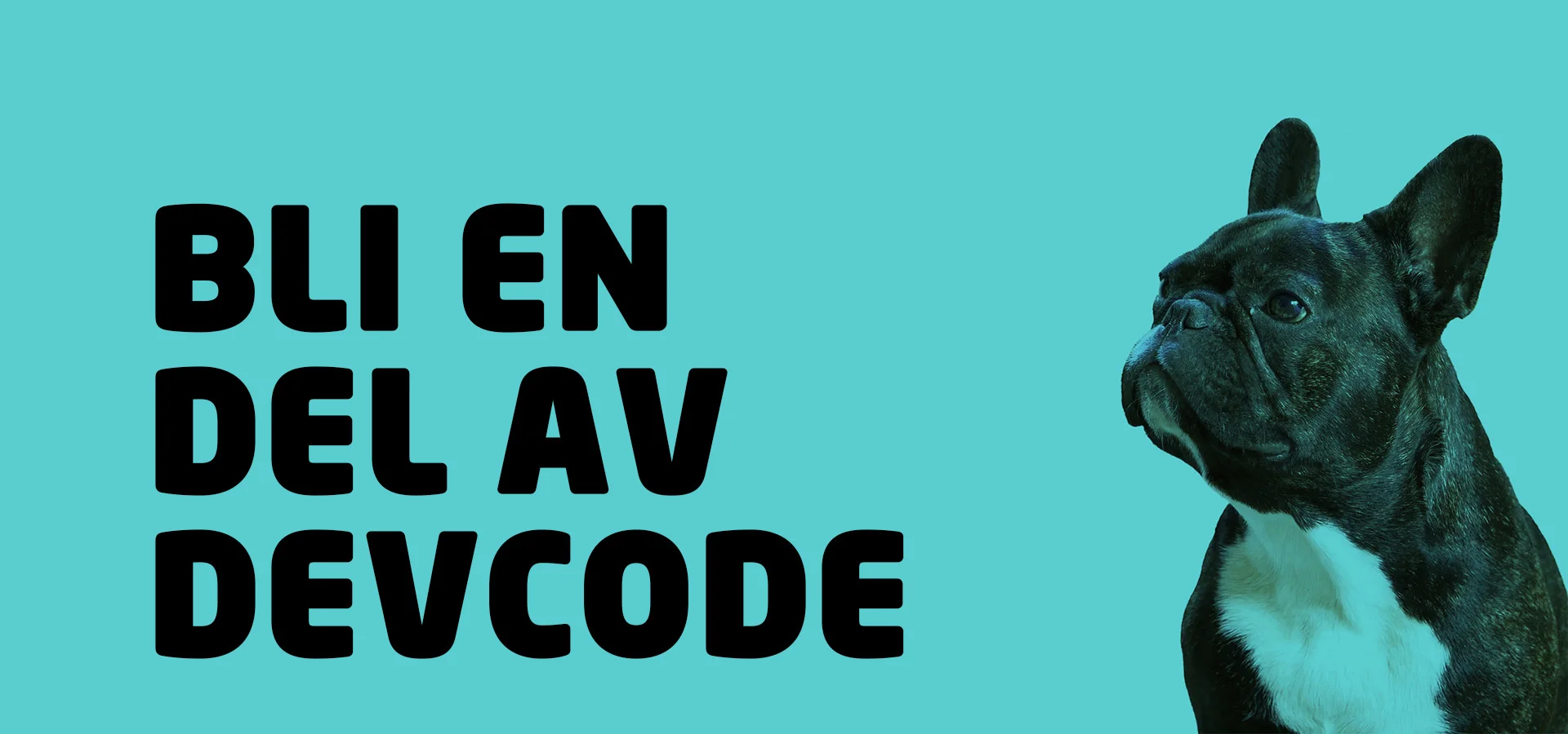DevCode renodlar satsningen på konsulter
