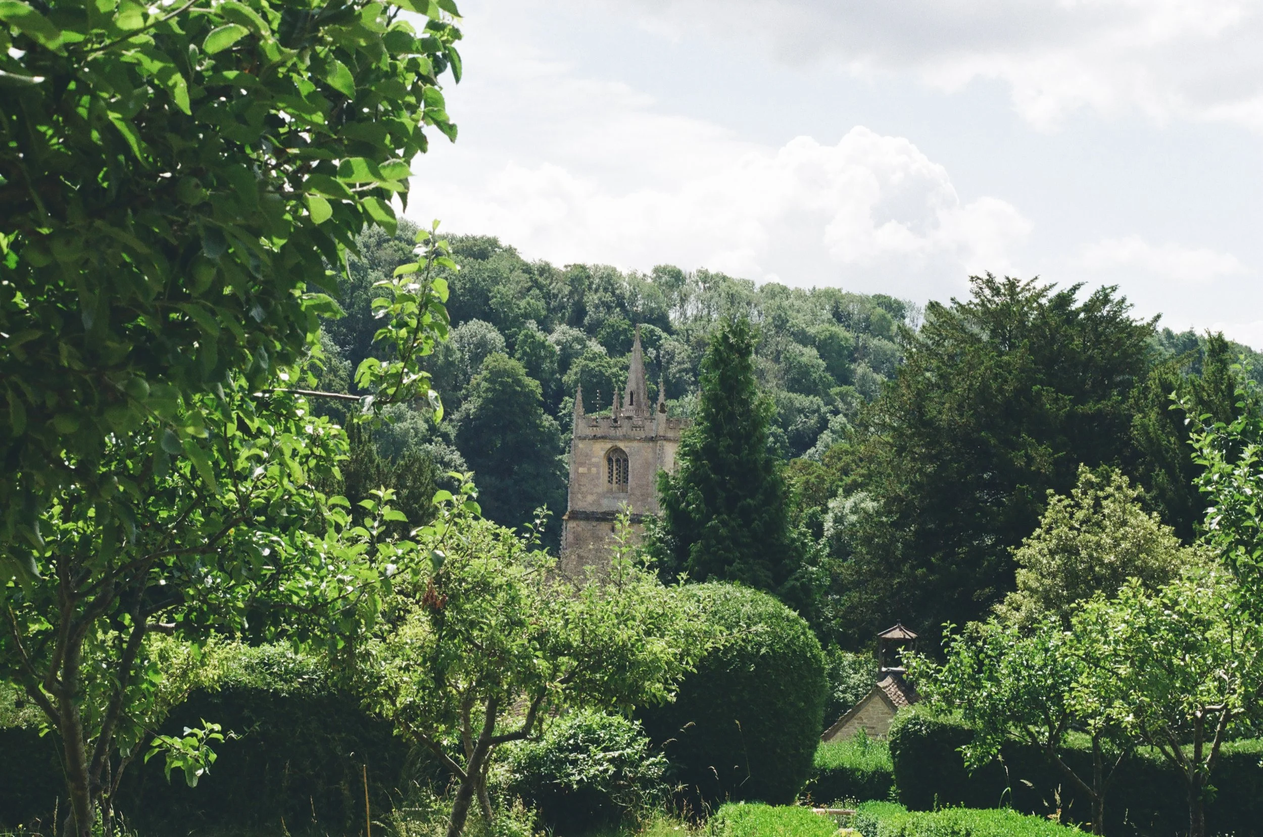 000079880015 (1).jpg