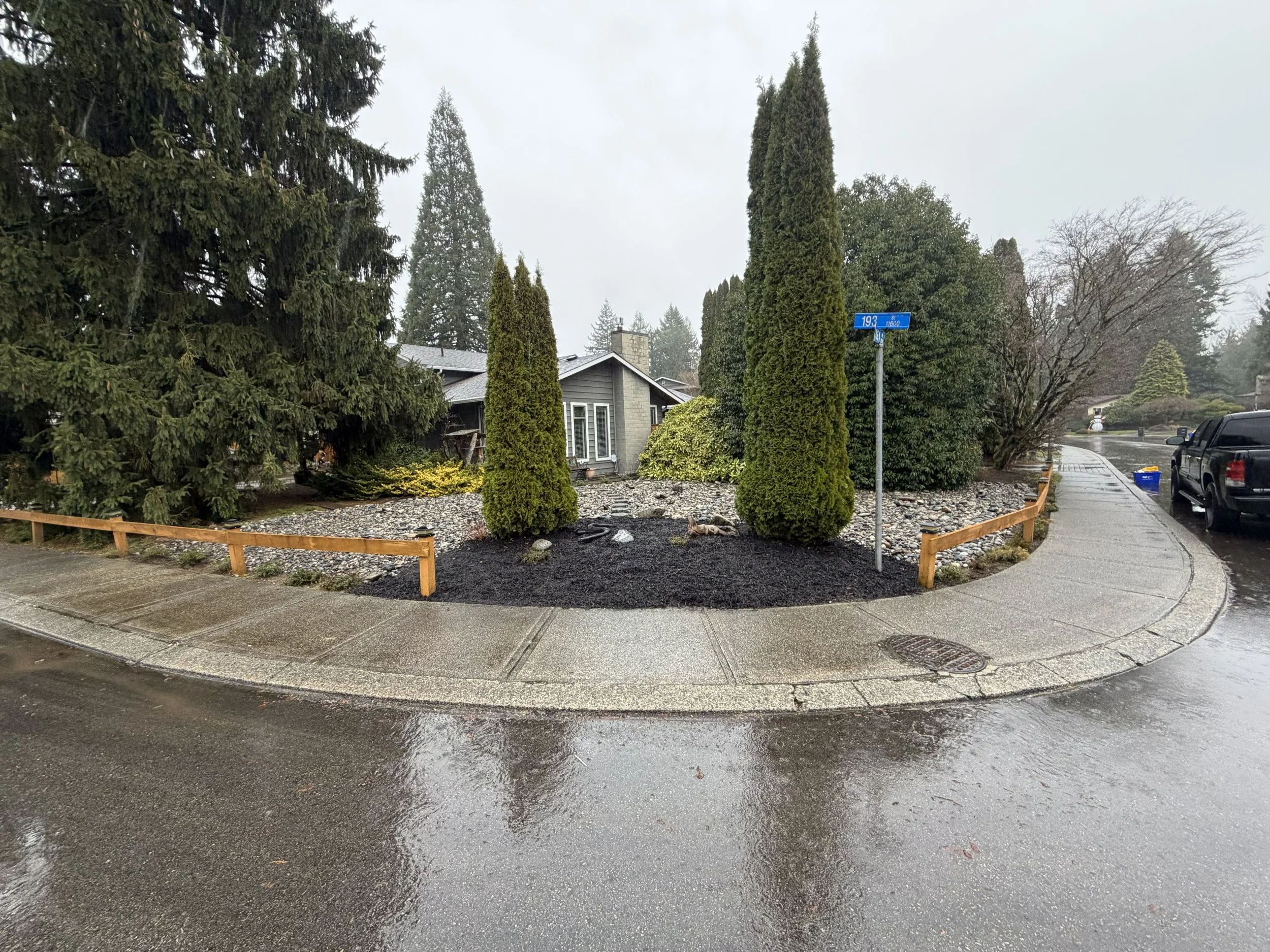 A curbside residential yard with tall evergreen trees, a house, and a wet street on a rainy day.