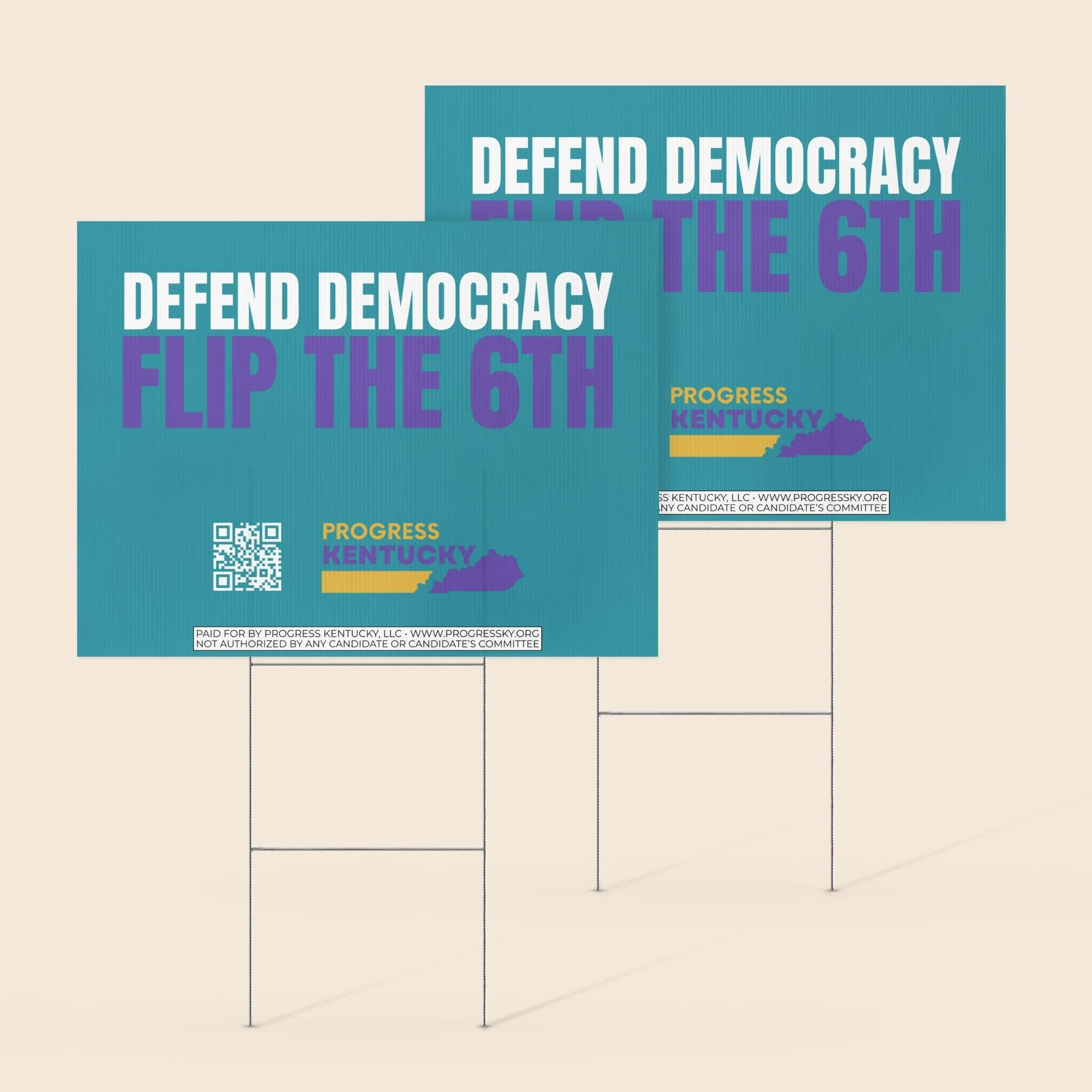 Defend Democracy & Flip the 6th Yard Sign