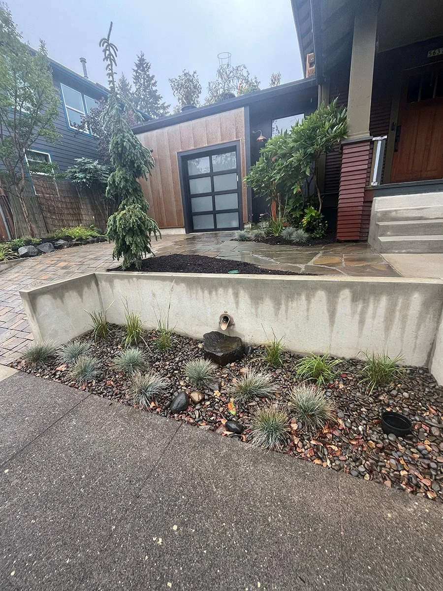 A modern residential backyard with a small landscaped garden featuring ornamental grasses and rocks, a concrete wall, and a paved pathway.