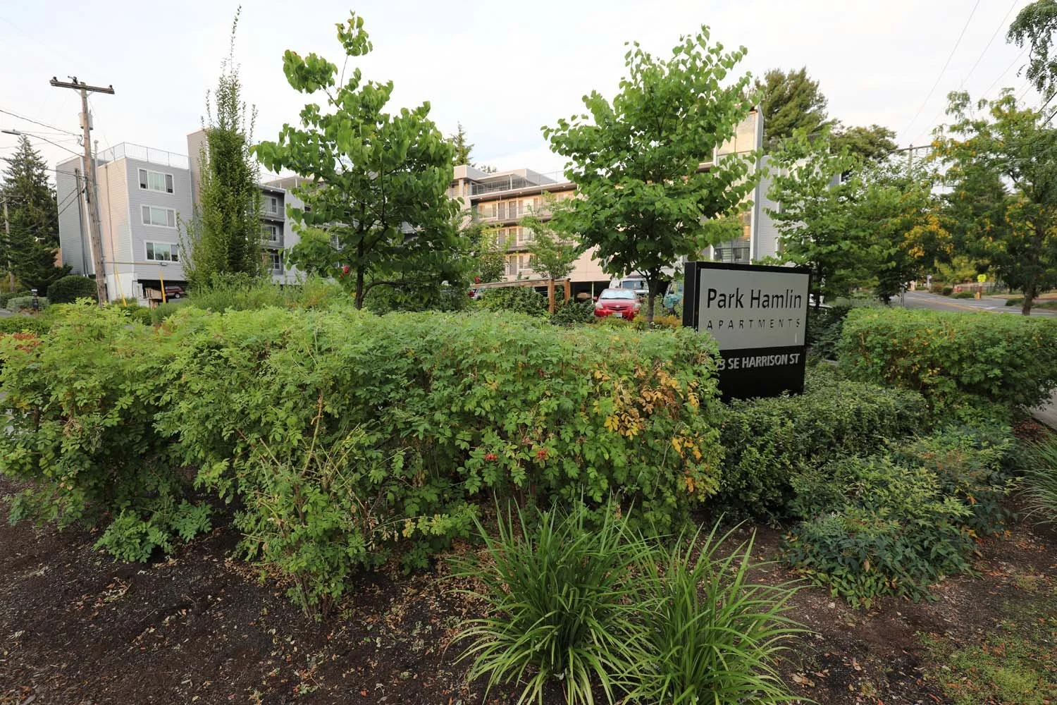 Apartment-Shrubs.jpg
