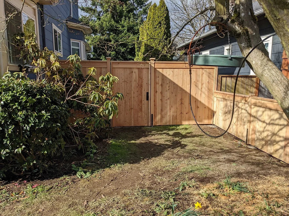 A backyard with a wooden fence, a tree with a swing, and bushes along the side of a house.