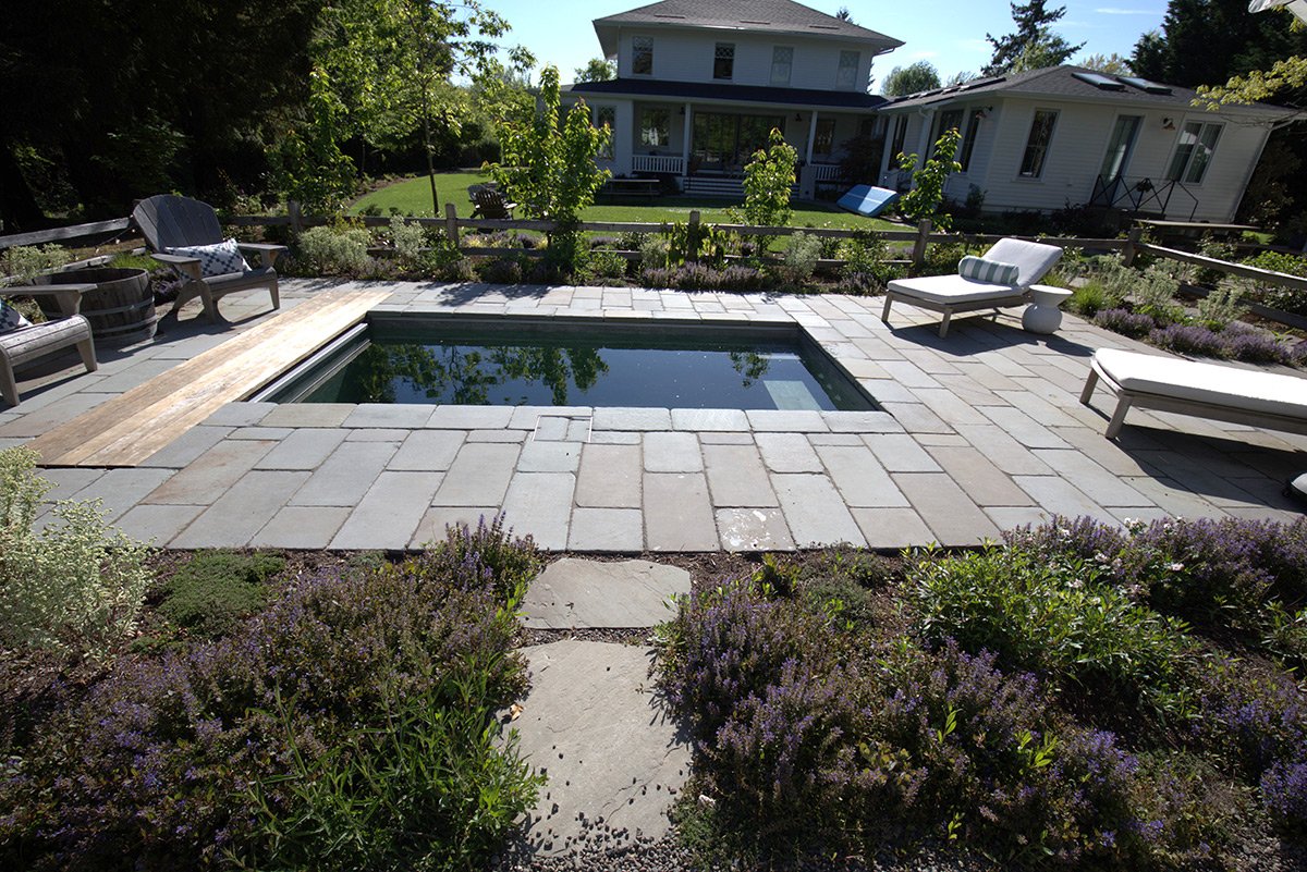 A backyard with patio stones, a small pool with stilts, and outdoor furniture including lounge chairs and benches. There is a garden with purple flowers and a house with a porch in the background.