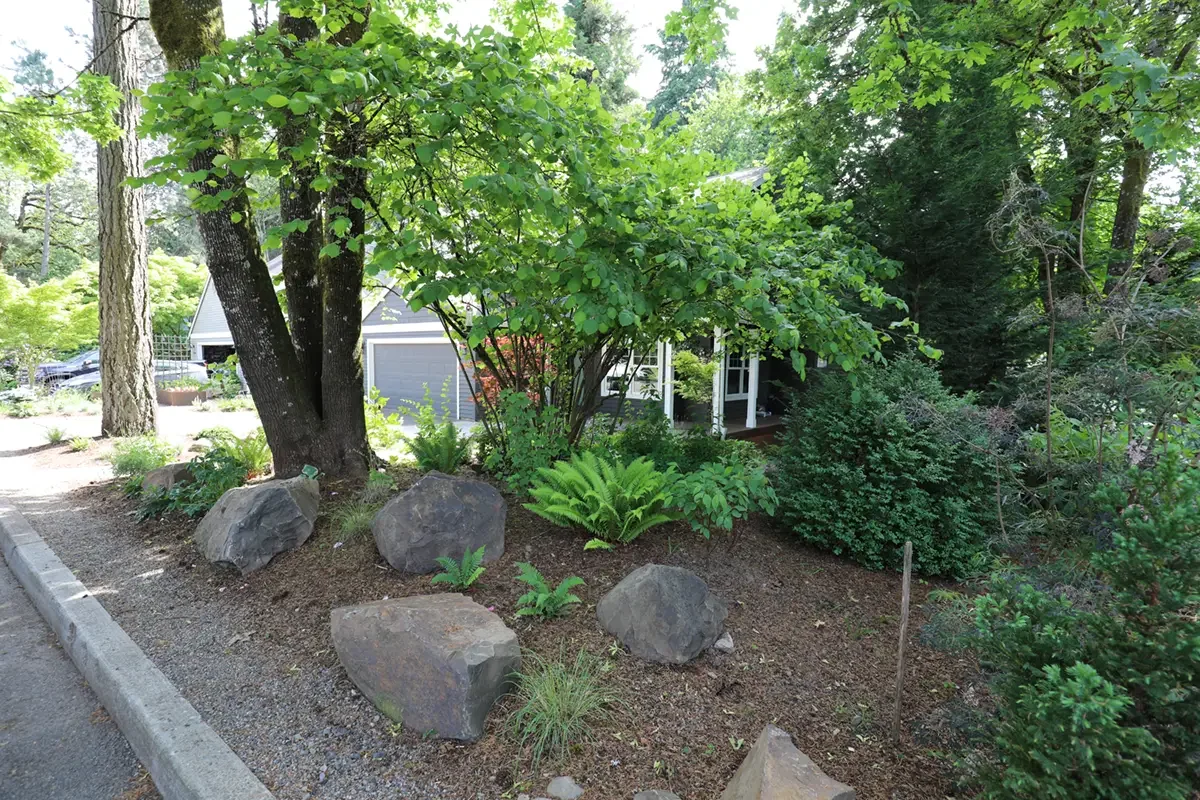 Front yard landscaping with large rocks, trees, shrubs, and a house in the background.