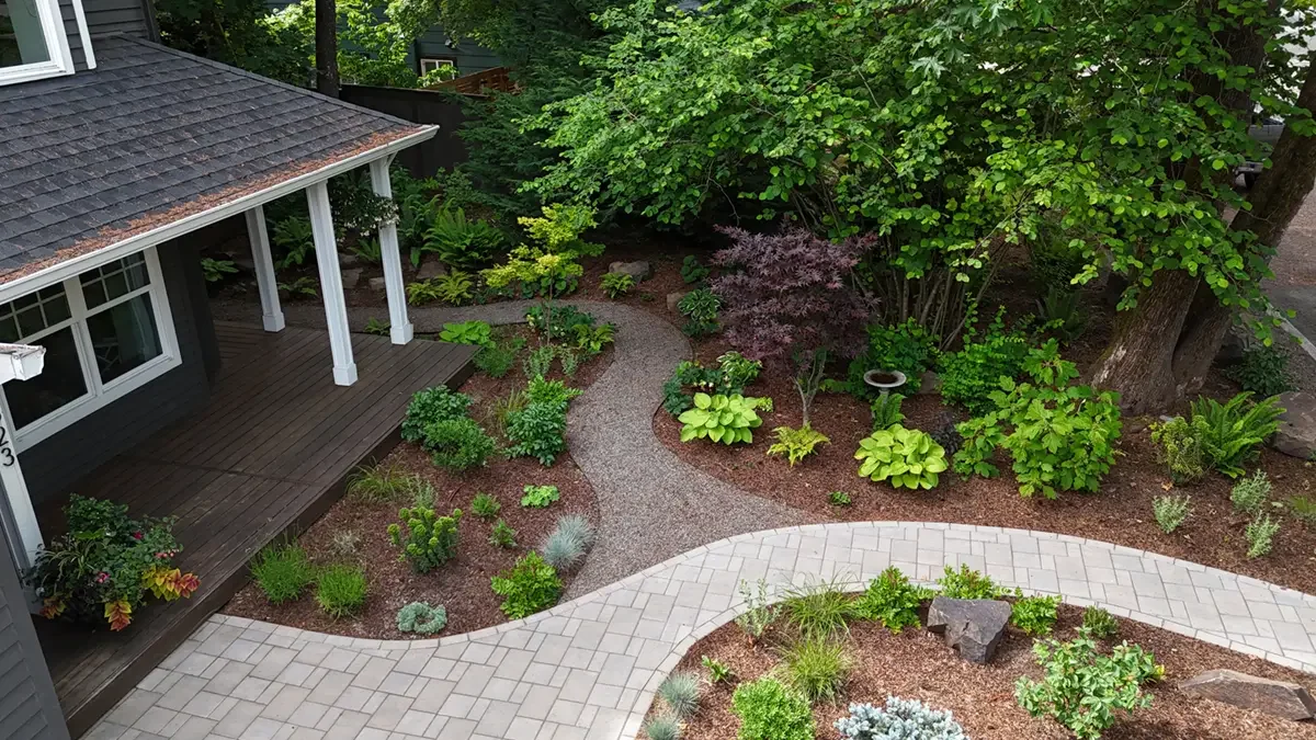 Before and After: From a Plain Lawn to Personal Nature-forward Space