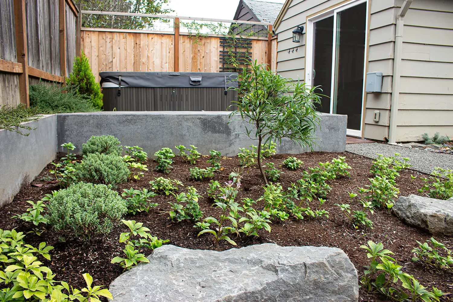 A backyard garden with small shrubs, a young tree, large rocks, a concrete retaining wall, a hot tub, a wooden privacy fence, and a house with a sliding glass door.