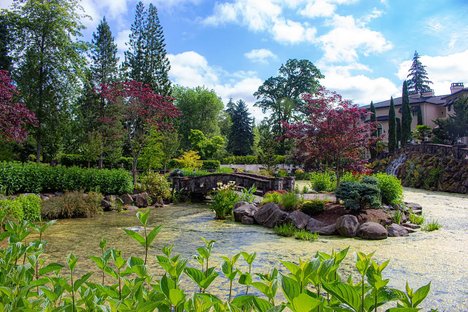 Revitalize Your Landscape: Fresh Ideas for Spring