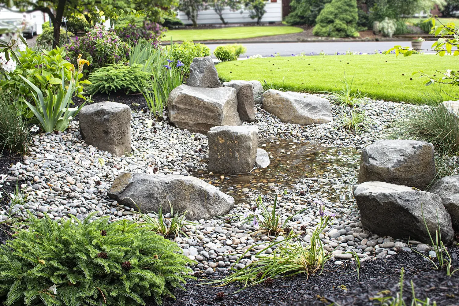 A landscaped garden with a small rock pond surrounded by various plants and stones, with a grassy yard and a street in the background.