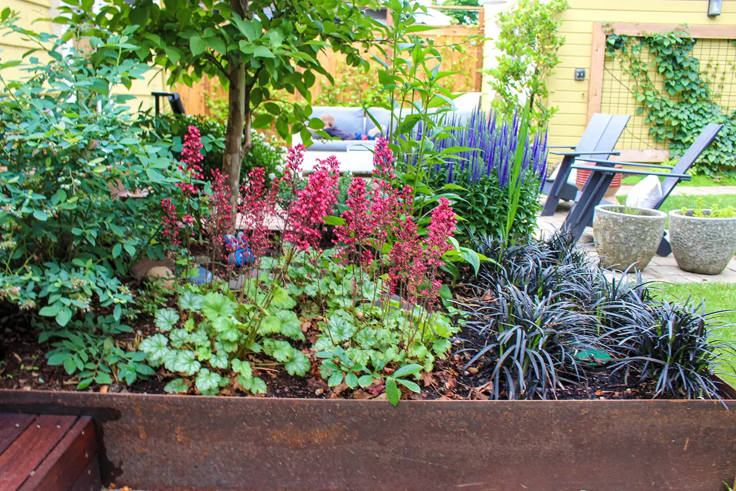A vibrant backyard garden with blooming pink and purple flowers, green leafy plants, and a small tree in a large rectangular raised bed. In the background, there are outdoor chairs, potted plants, and a yellow house with a wooden fence and vines.