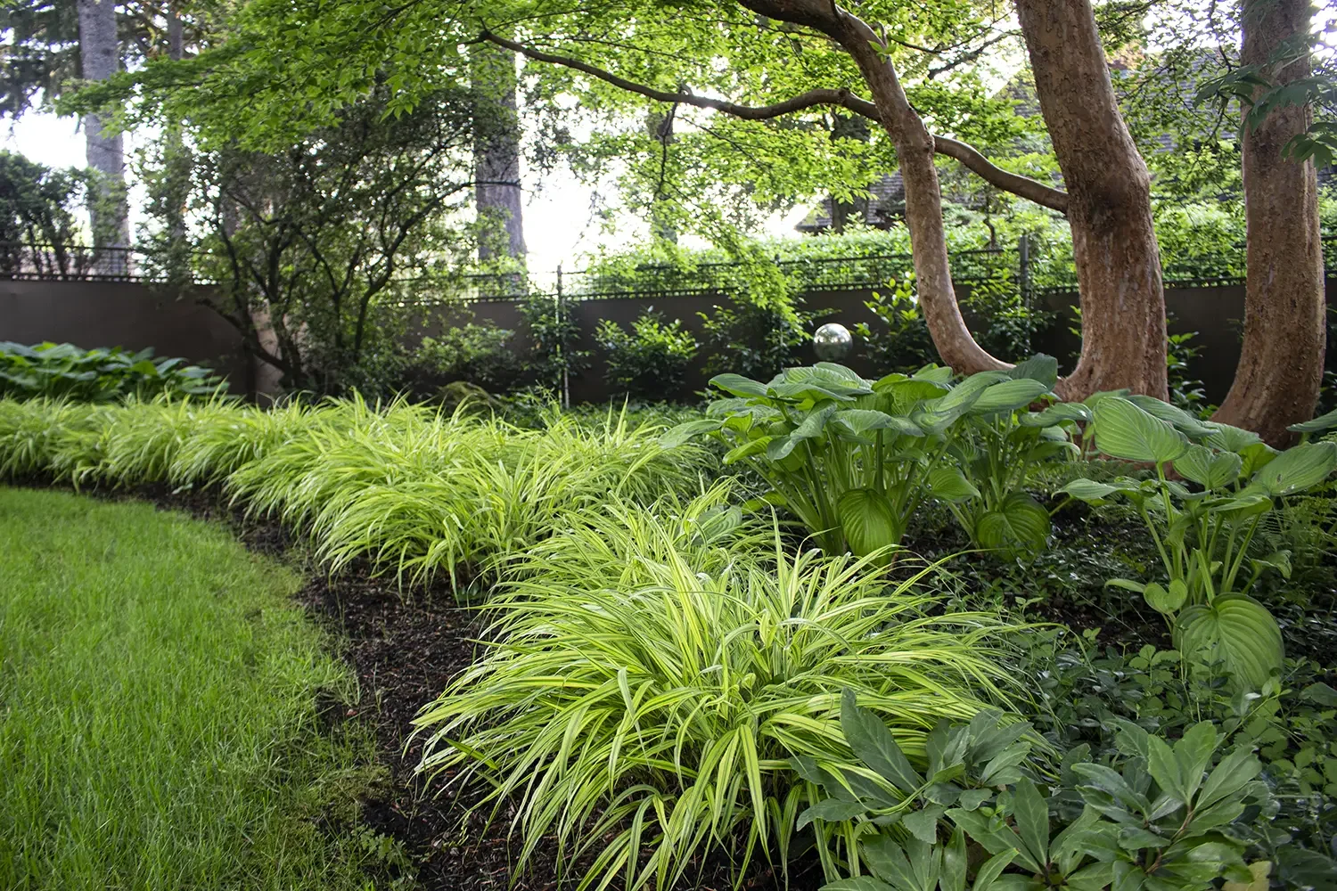 A lush garden with green grass, various leafy plants, and trees with brown bark. A metal decorative sphere is on one of the plants, and a dark fence is in the background.