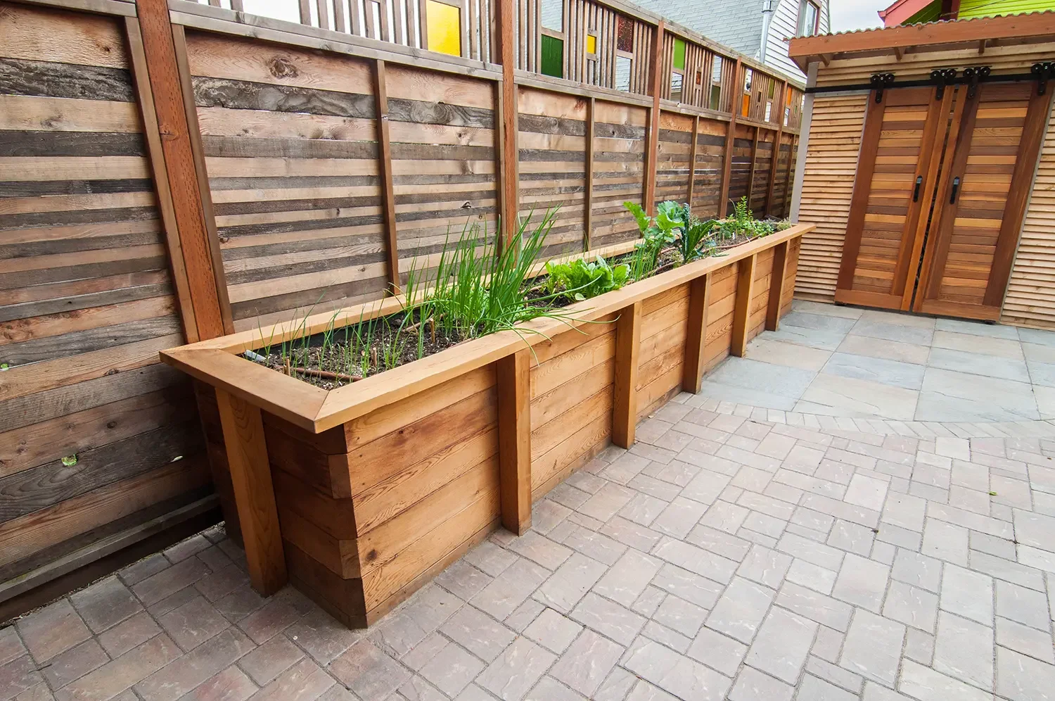 Wooden raised garden bed with green vegetables and plants, situated on a paved patio area with a wooden fence and shed in the background.