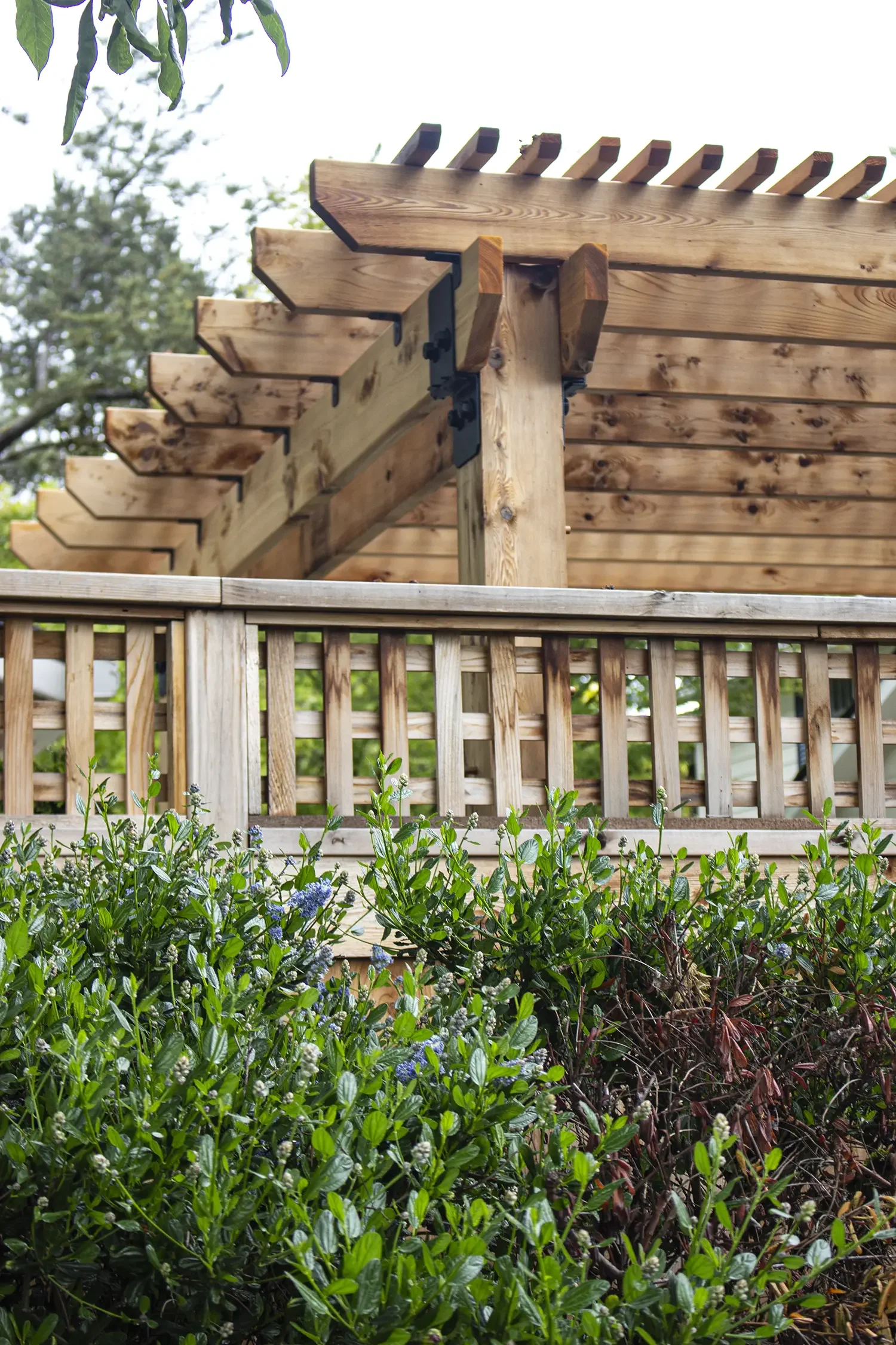 Close-up of a wooden outdoor structure, possibly a pergola or gazebo, with a lattice fence and greenery in the foreground.