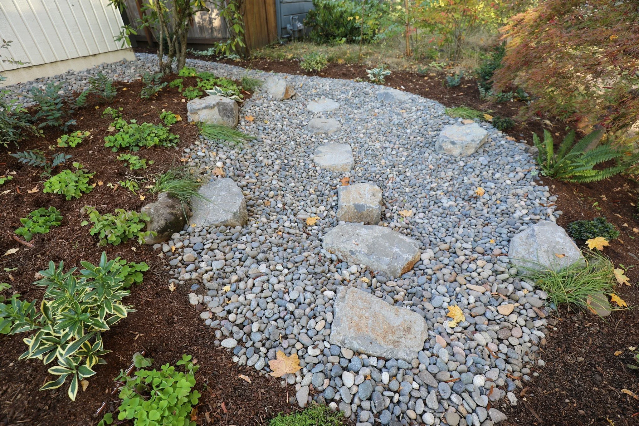 Rainy season is in full swing here in Portland, and rain gardens are one of the best ways to help filter stormwater back into the ground. For this project, we installed a beautiful rain garden and added boulders as natural stepping stones across the 