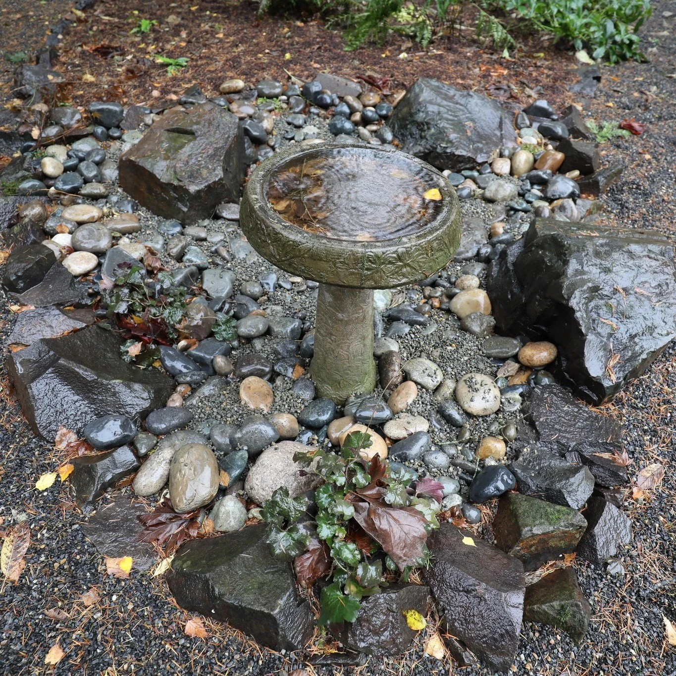 Winter might leave gardens looking a little quiet, but we believe great design shines in every season. 🌿
If this wet weather has brought soggy or muddy areas to your property, those spots are perfect for rain gardens.
Swipe through to see both new a