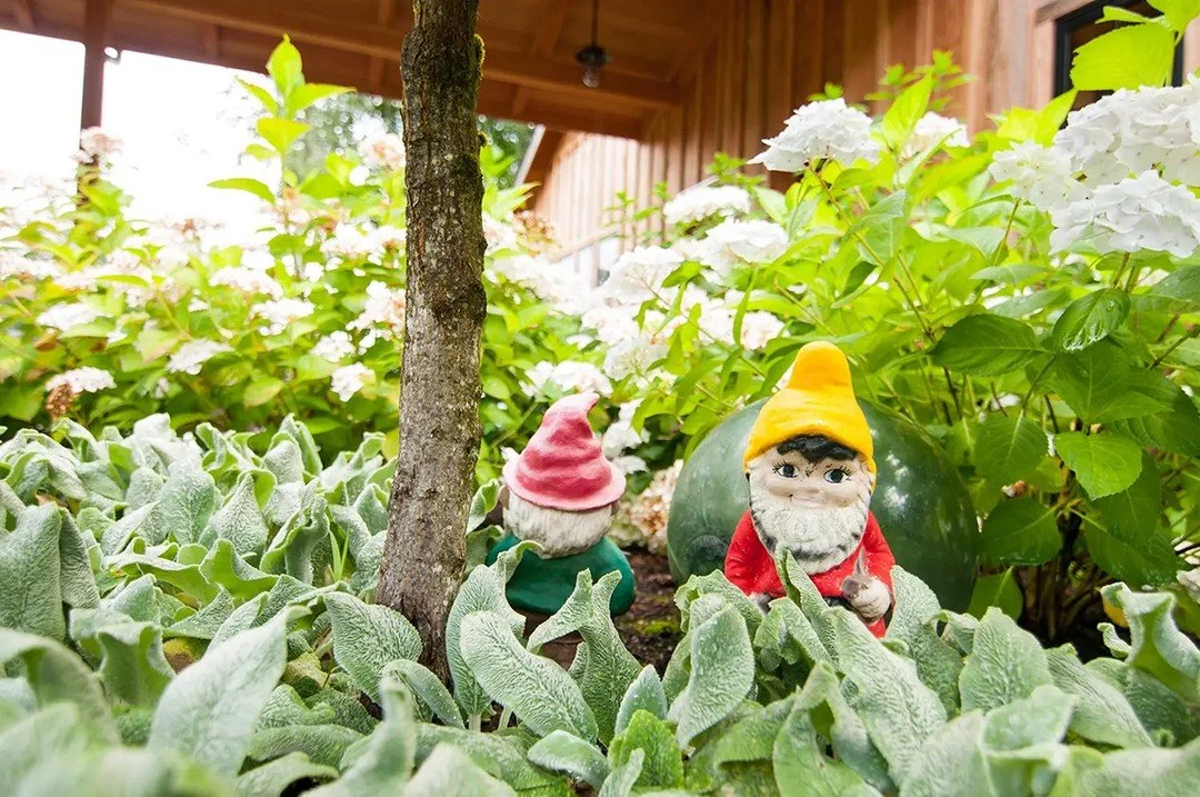 Before &amp; After: A Garden Retreat Ready for Summer