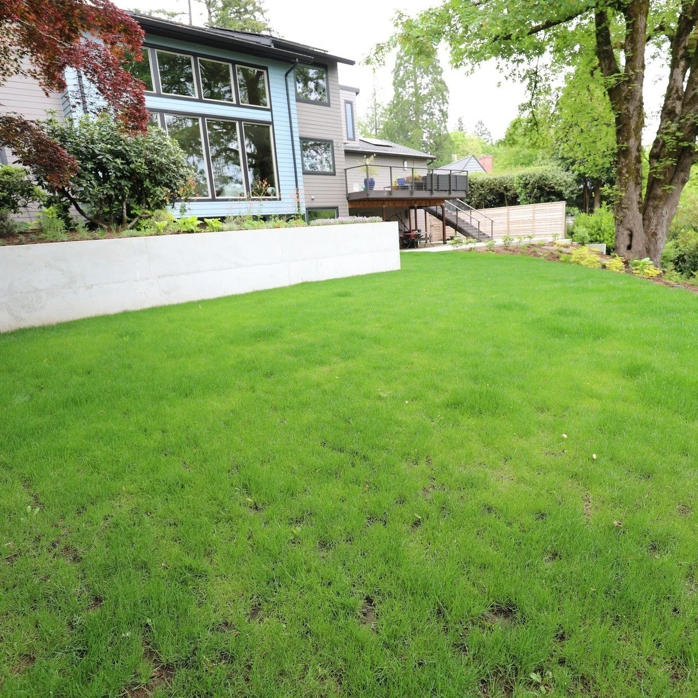New project complete 🌿 We&rsquo;re excited to watch this landscape grow in and come to life over the seasons. This transformation features new retaining walls, paths, and steps, a native habitat area with woody debris, and an edible garden filled wi
