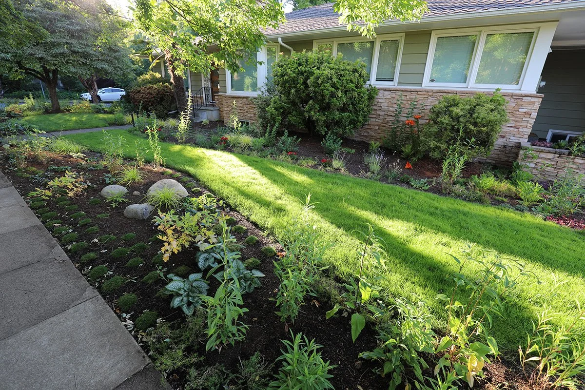 Before &amp; After: A Mossy NE Portland Lawn Becomes a Pollinator Garden