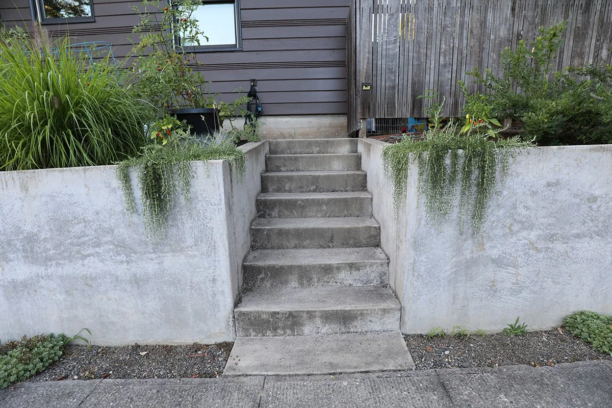 Concrete stairs leading to an elevated porch with plants and greenery on both sides, a garden hose, and a house with brown siding.