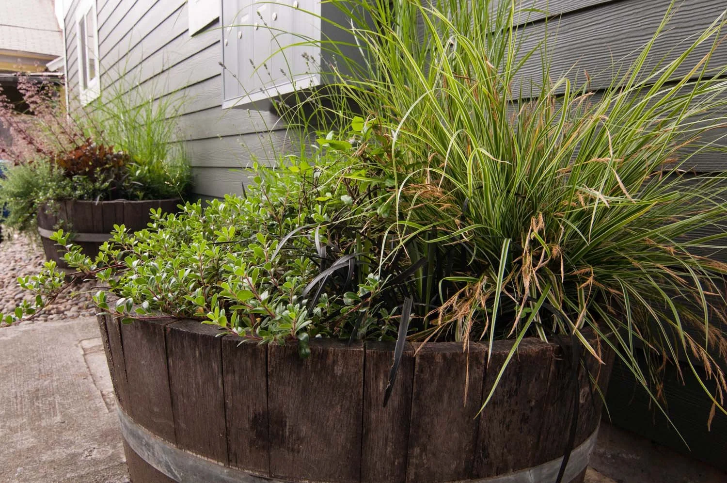 Year-Round-Planter.jpg