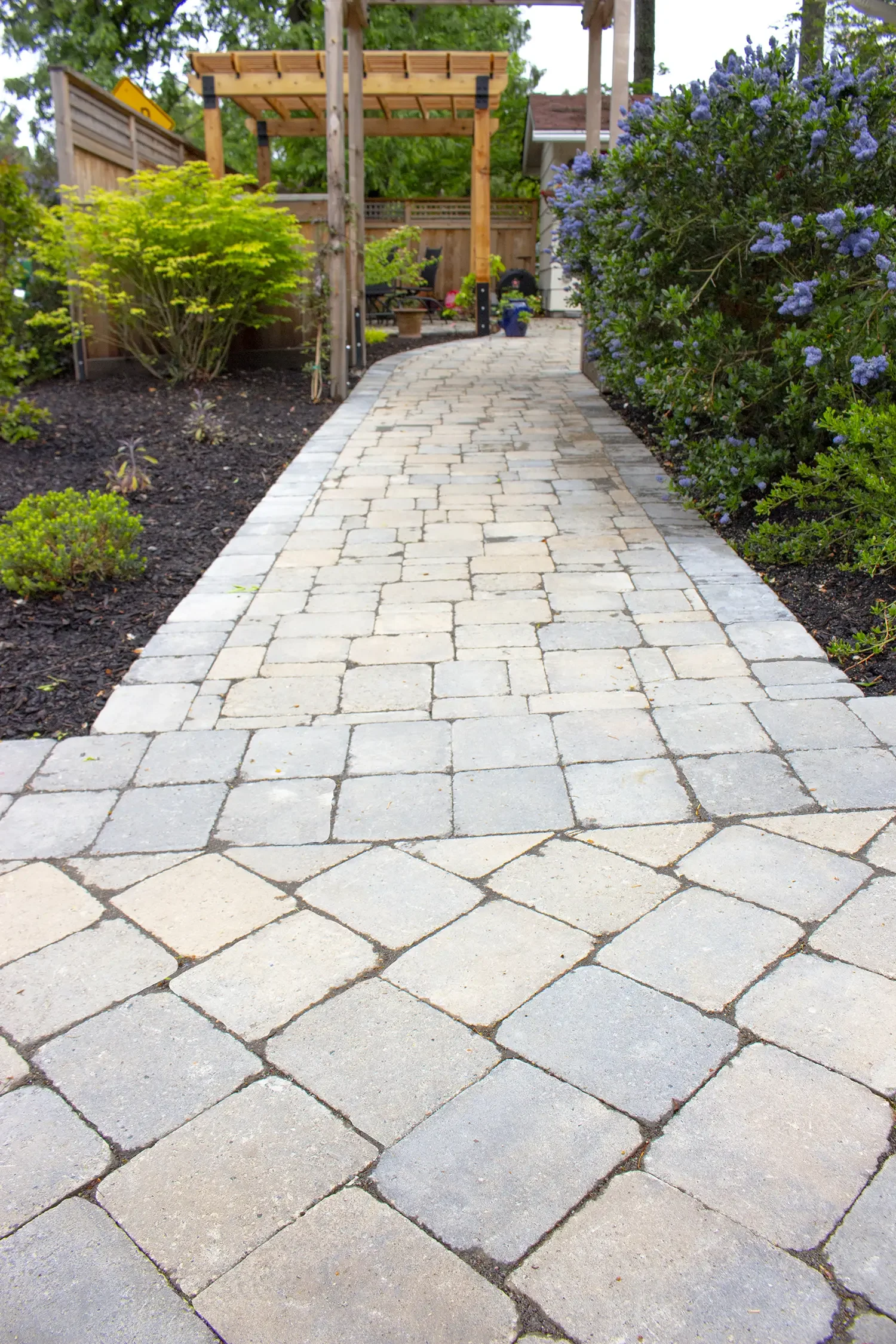A paved garden pathway with light-colored stones, leading to a wooden pergola, surrounded by green shrubs and flowering bushes, in a backyard setting.