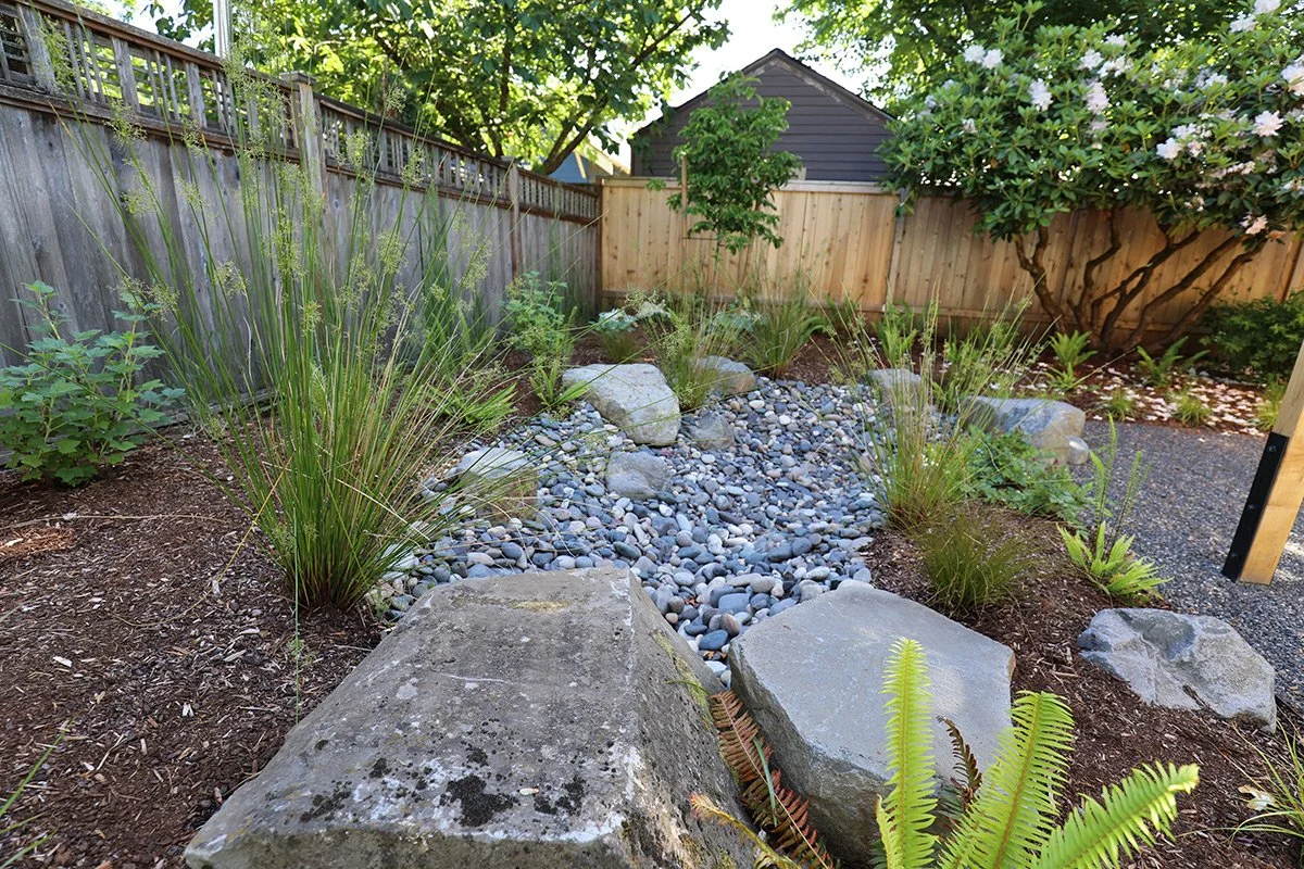 A landscaped backyard garden featuring a rock and pebble dry creek bed, surrounded by plants and shrubs, with a wooden fence, trees, and a shed in the background.