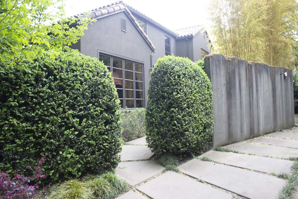 A modern house with gray exterior walls, large window, and tile roof, surrounded by neatly trimmed bushes and a concrete walkway, with a tall gray fence on one side.