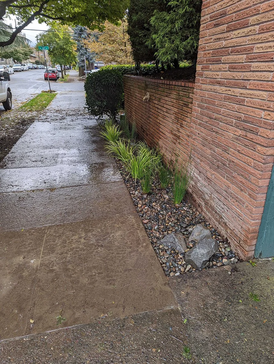 Sidewalk with wet surface, adjacent to a brick wall with green plants and rocks at the base, on a rainy day with parked cars and trees lining the street.
