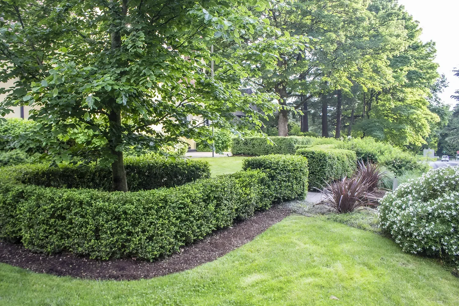 A neatly landscaped garden with trimmed bushes, lush green grass, and large leafy trees. A sidewalk runs along the right, with some cars visible in the distance.