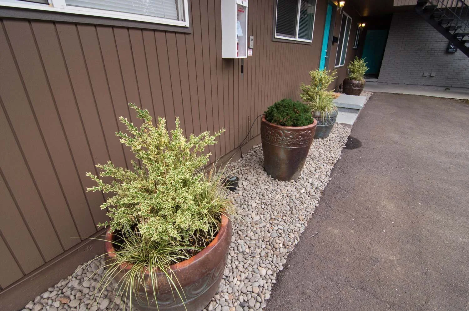 Low-Maintenance-Pots.jpg
