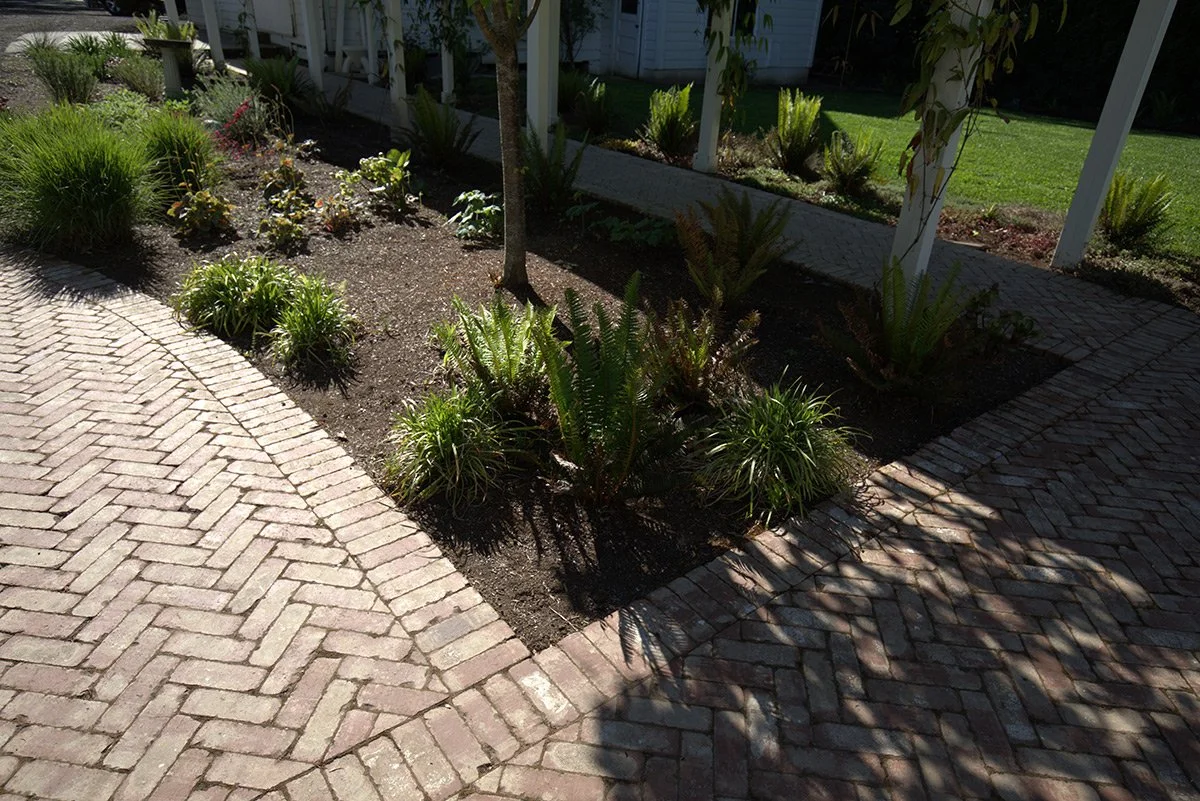 A landscaped garden bed with various green plants, surrounded by brick-paved pathways in a backyard.