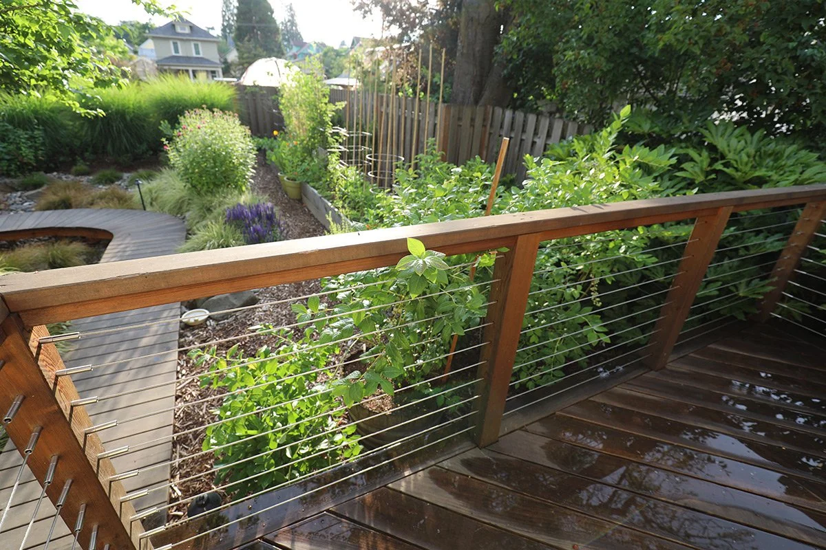 View of a backyard garden with a wooden deck and railing, lush green plants, bushes, and trees, a curved wooden pathway, and neighboring houses in the background.