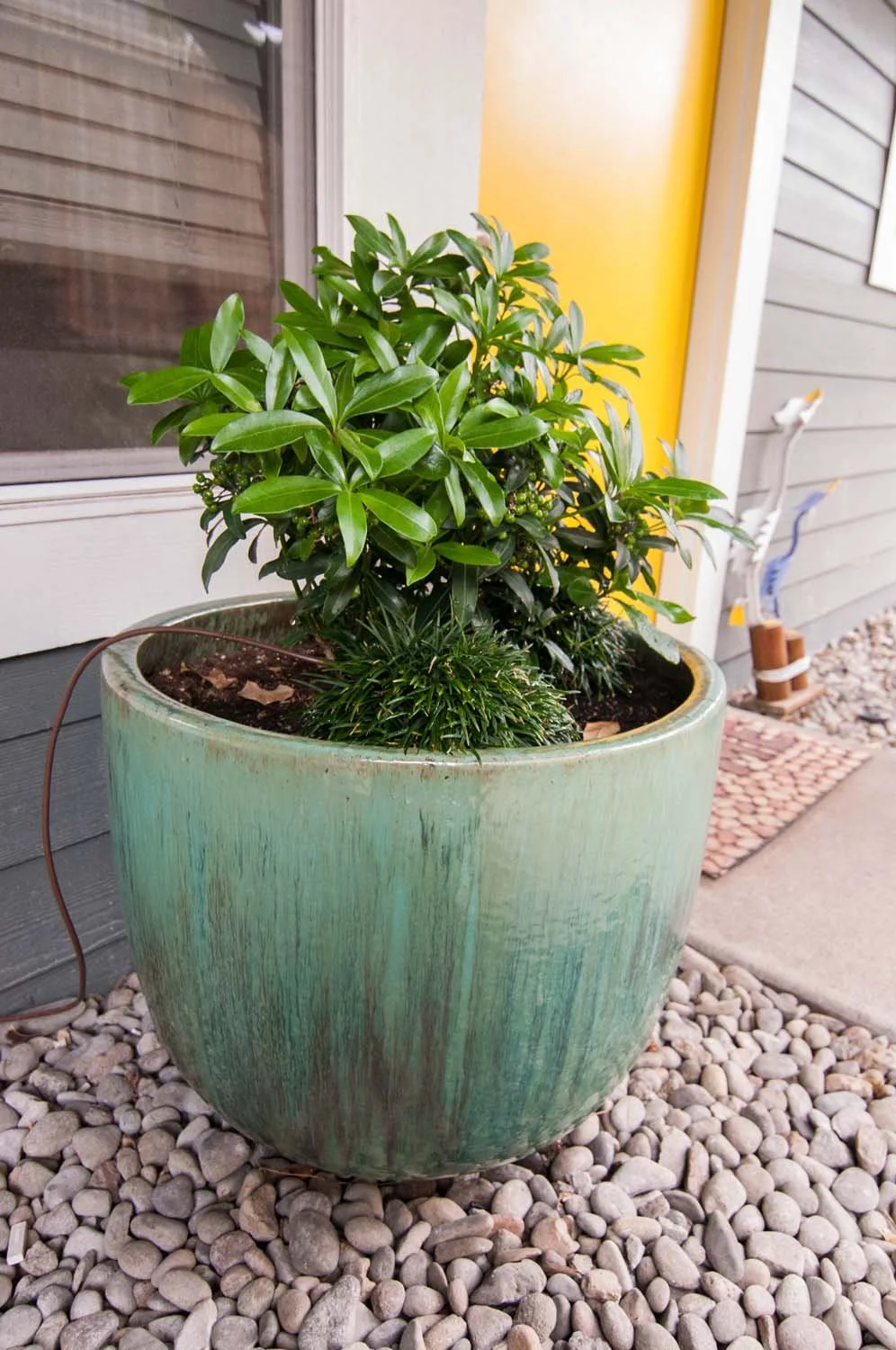 Apartment-Potting-Design.jpg