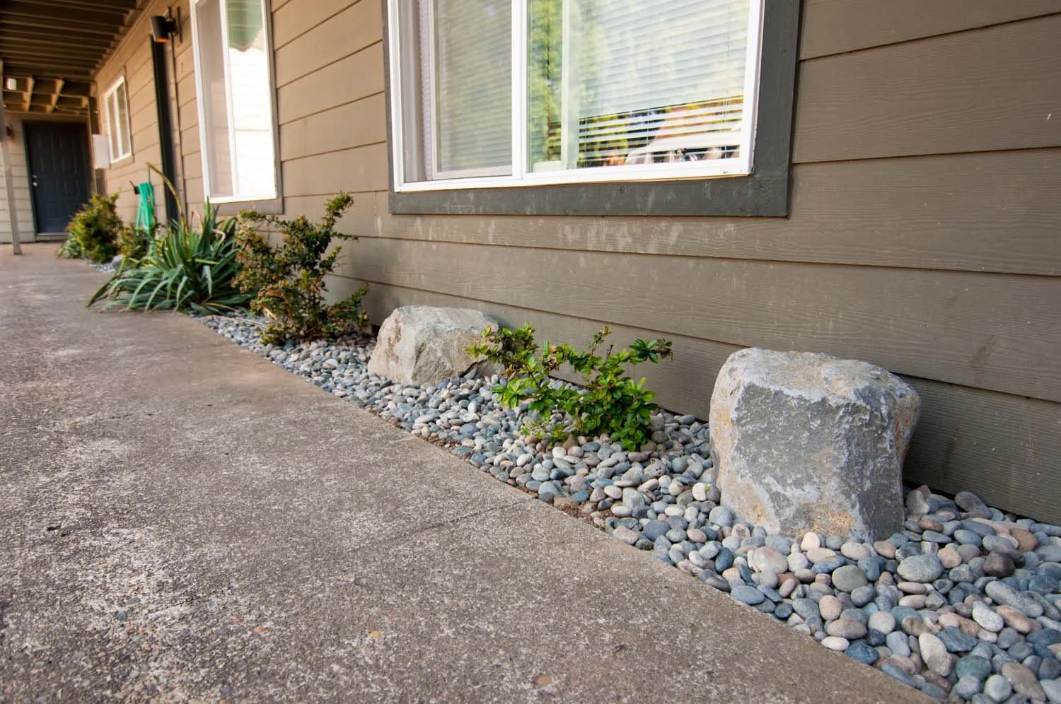 Low-Maintenance-Condo-Garden.jpg