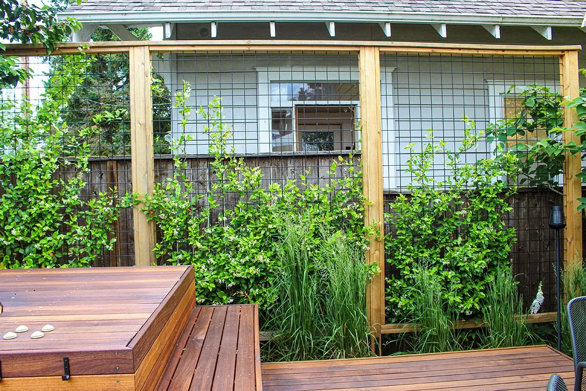 Backyard garden with wooden deck and lush green plants enclosed by a wooden and wire fence, with a glimpse of a house window in the background.