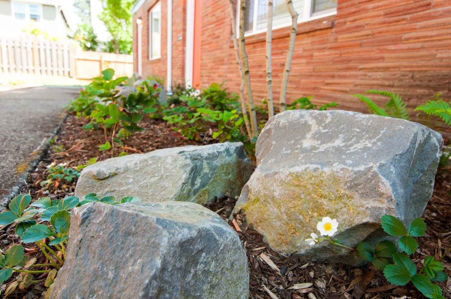 Boulder-Garden.jpg
