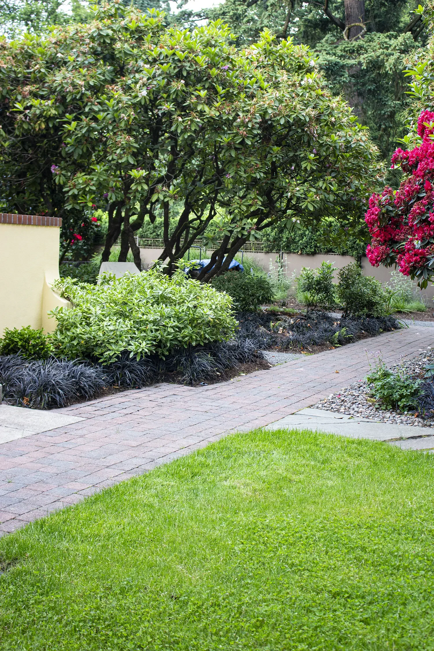 A well-maintained garden with a brick pathway, lush green grass, various shrubs, and flowering plants, including a large tree with broad leaves and vibrant pink flowers.