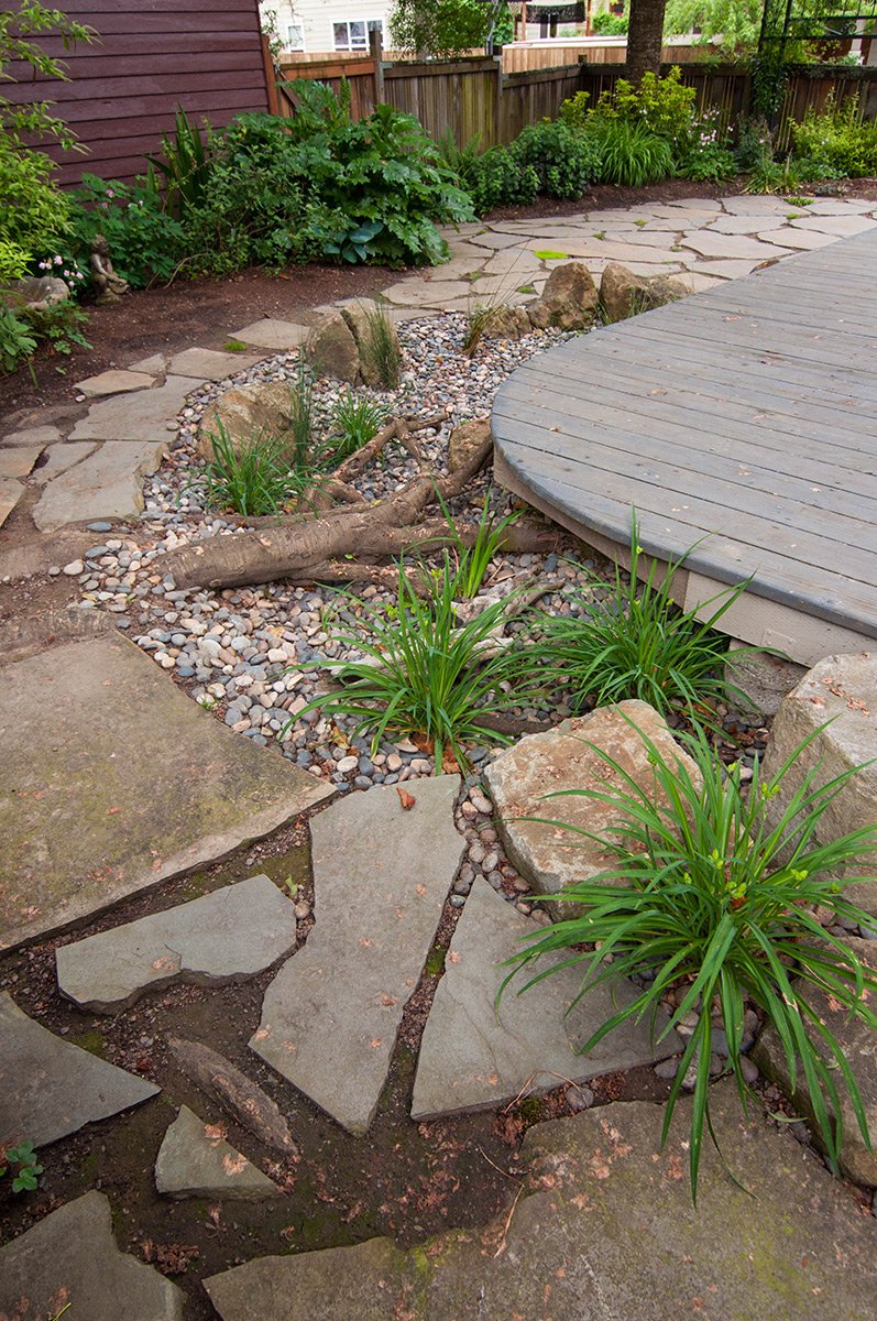 A backyard garden with a stone pathway, plants, and a wooden deck. The pathway has large flat stones and smaller pebbles, with green plants growing among the stones. The background has bushes and trees, and a wooden fence encloses the yard.