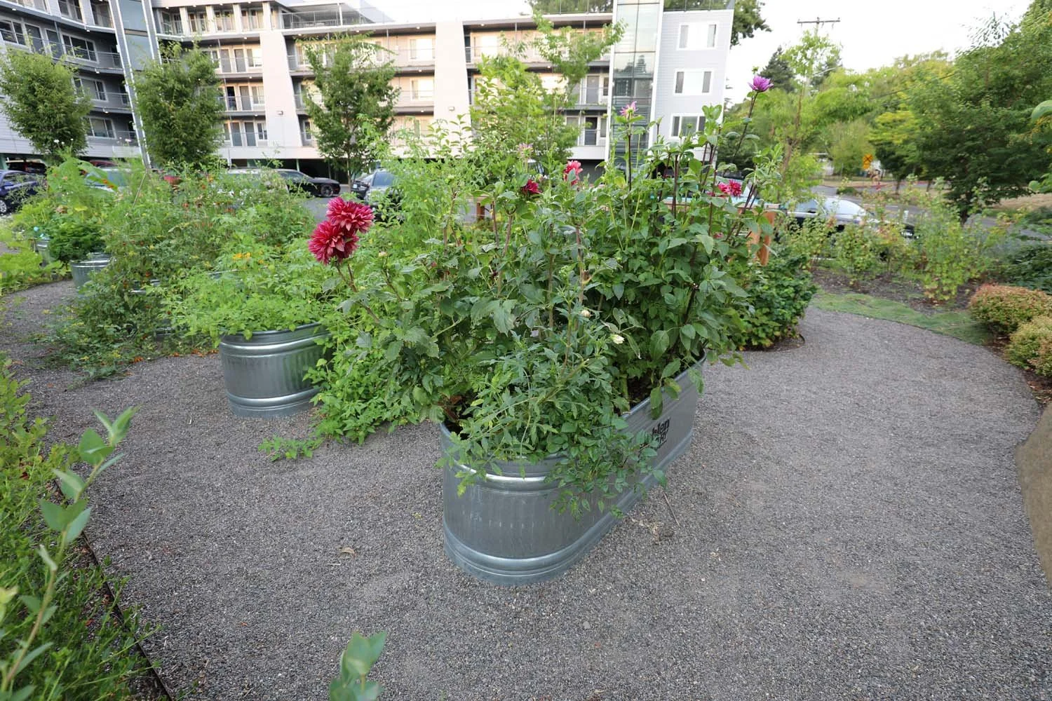 Tub-Planters.jpg