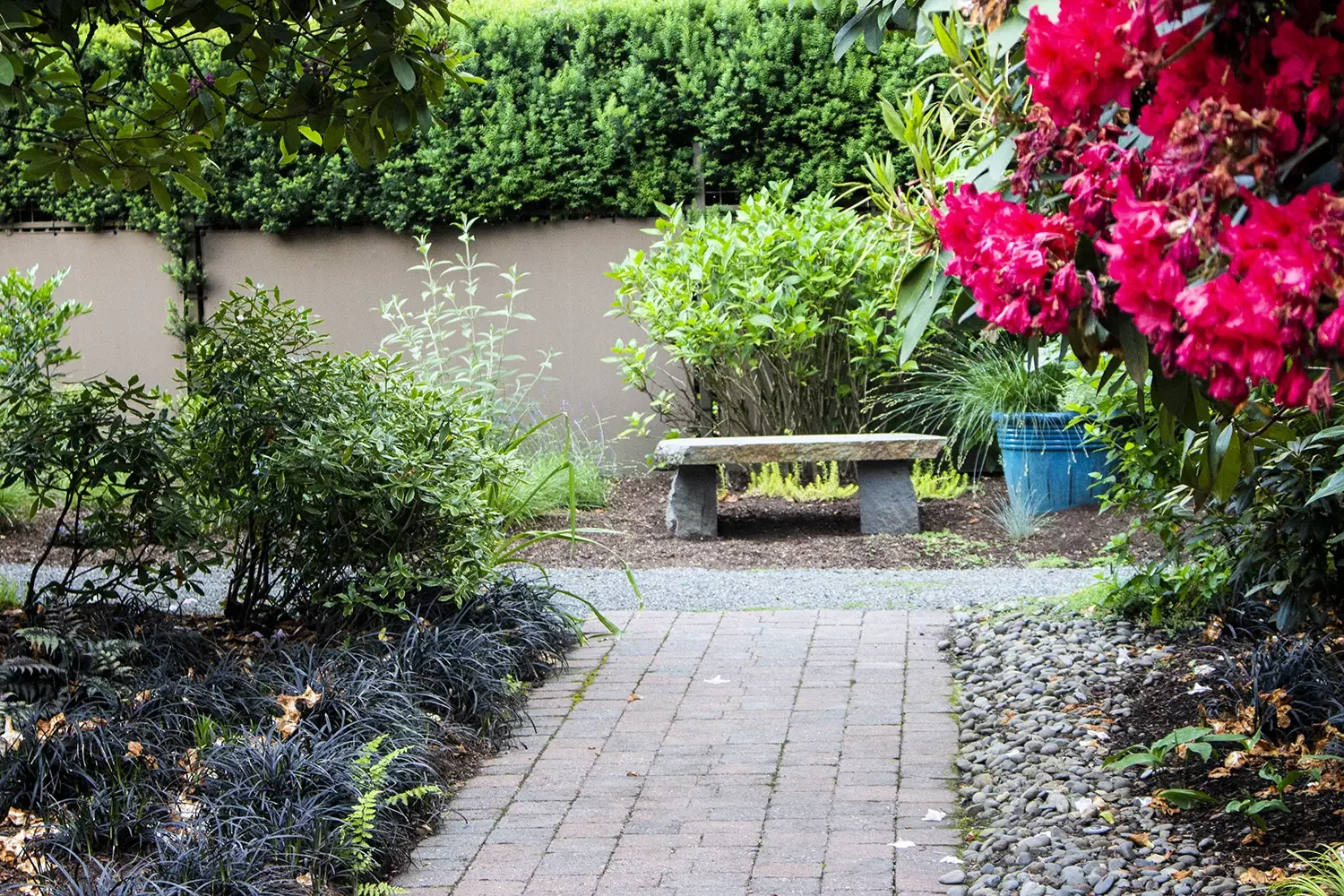 A garden pathway made of brick pavers leading to a stone bench surrounded by lush greenery and flowering plants, with a beige fence in the background and vibrant pink flowers on the right side.