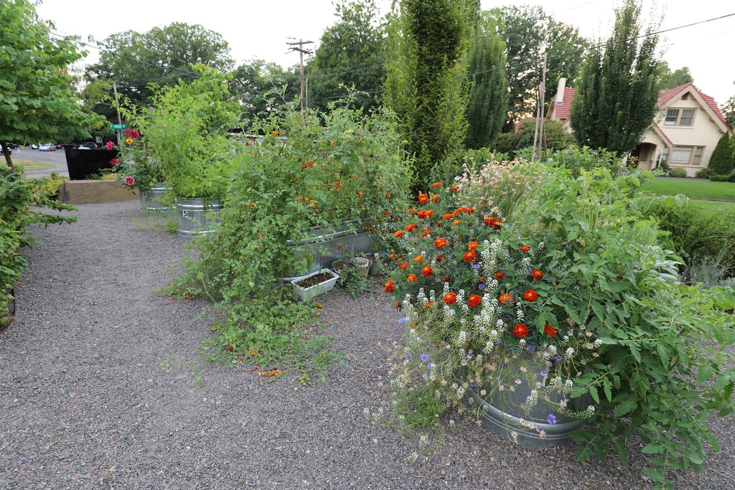 Raised-Bed-Planters.jpg