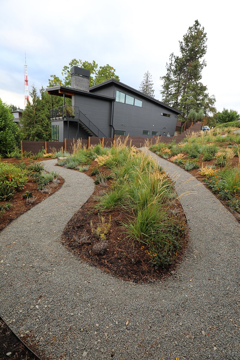 Modern black house with a gravel path winding through a landscaped garden with various plants and shrubs.